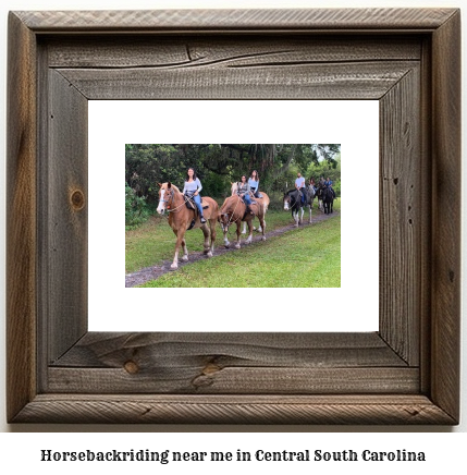 horseback riding near me in Central, South Carolina